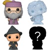image:imageFunko Bitty POP 4 Pack Harry Potter  Hermione Granger Rubeus HagridFunko Bitty Pop Harry Potter