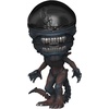 image:imageFunko POP Movies Alien Romulus  RainScorched Xenomorph