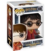 image:imageFunko POP Harry Potter Quidditch HarryMulticolour