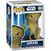 image:imageFunko Pop Star Wars Mandalorian amp Grogu  Amani