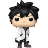 image:imageFunko POP Animation Fairy Tail 100 Years Quest  Gray with Chase