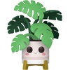 image:imageFunko POP Home Kawaii Rose Monstera Plant