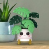 image:imageFunko POP Home Kawaii Rose Monstera Plant