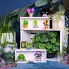 image:imageFunko Pop Mystery Flora Plants Series Blind Box  Surprise Vinyl Figure