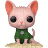 image:imageFunko Pop Pets Sphinx Cat  Collectable Vinyl Figure  Gift Idea  Official Merchandise  Toys for Kids amp Adults  Owned IP Fans  Model Figure for Collectors and Display