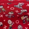 image:imageLoungefly Snoopy Valentines Day Charm Crossbody Bag