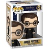 image:imageFunko Pop Movies Harry Potter Marauders Map  James Potter